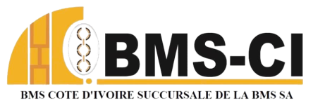 Logo BMS-CI
