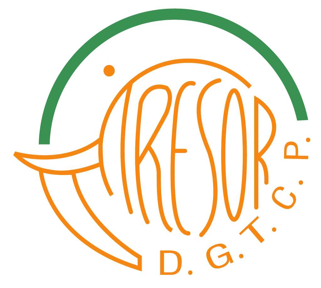 Logo Trésor public